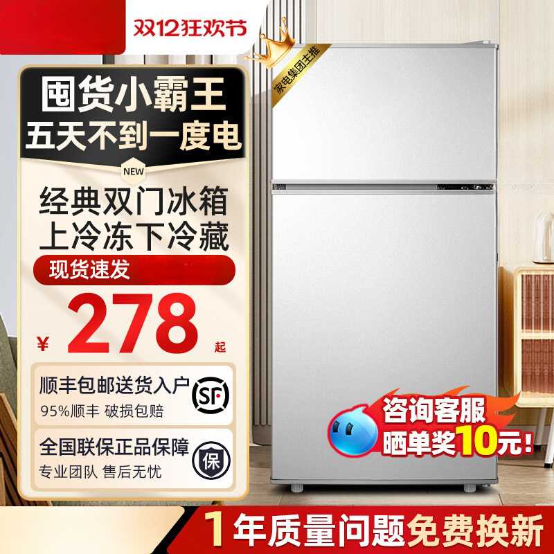 一级节能小冰箱家用小型出租房宿舍单人办公室迷你双门冰箱图片