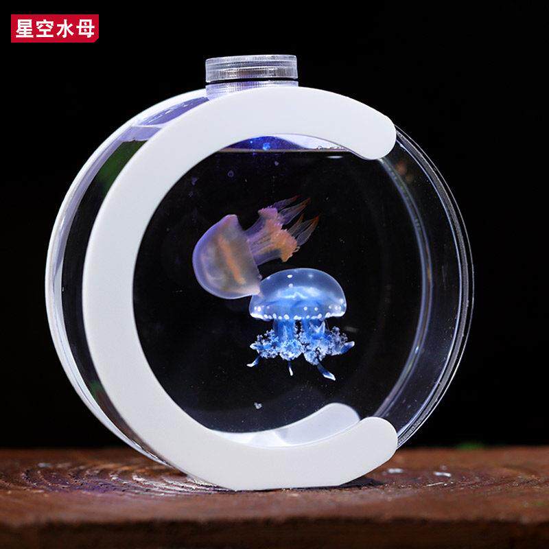 发光水母缸活物活体生态瓶客厅桌面宠物观赏赤月迷你好养儿童鱼缸