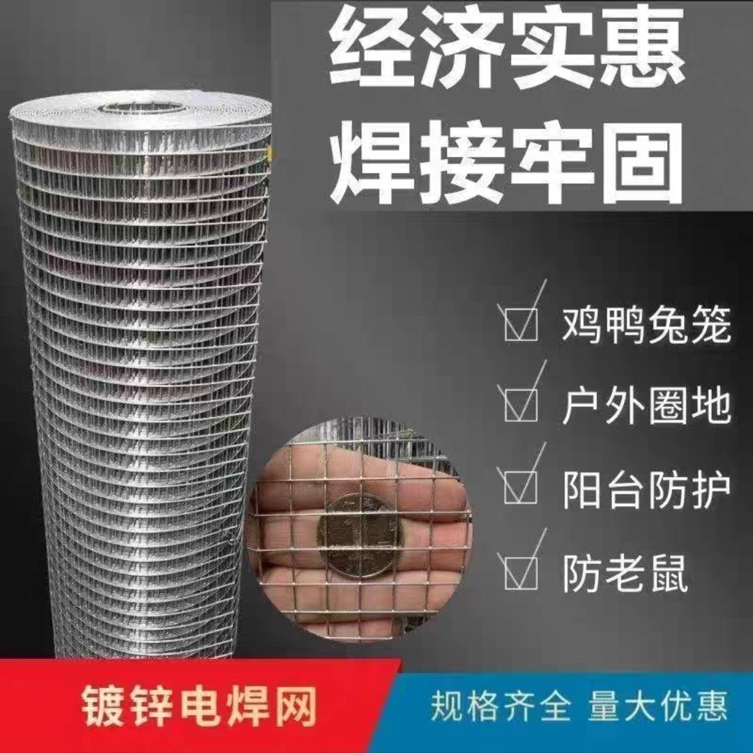 热镀锌铁丝网围栏网养殖网钢丝网拦鸡网建筑网防护网铁网格玉米网