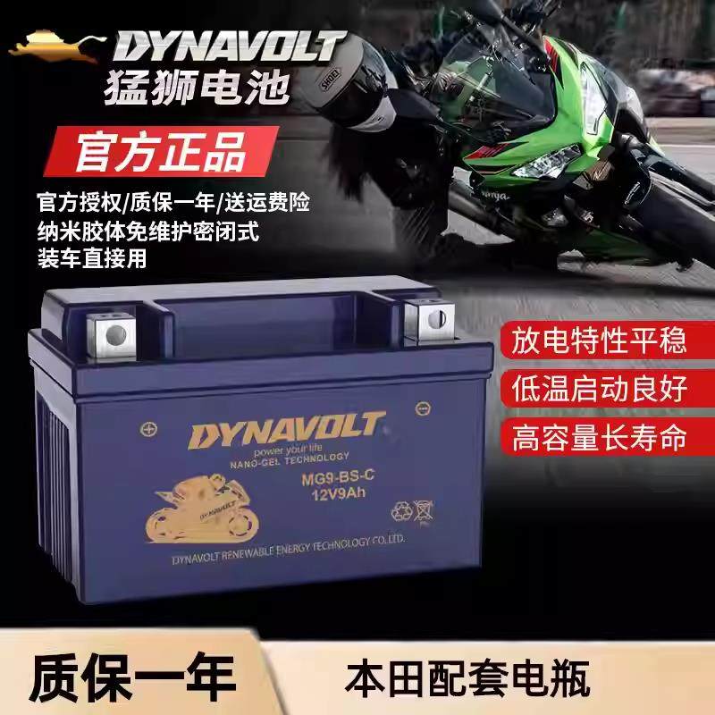 适用本田CBR600 RR CBR600F F1 F2 F3 F4 F5摩托车电瓶12V蓄电池