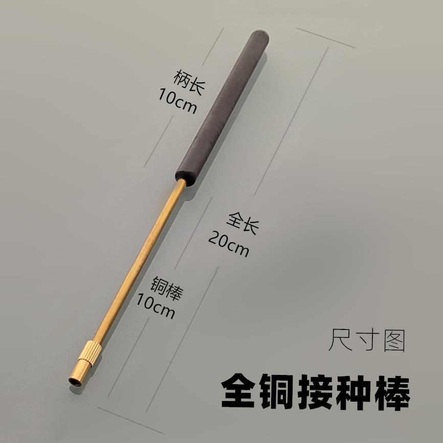 实验室微生物细胞接种针镍铬接种环铜接种棒镍铬丝接种丝包邮