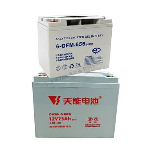 6GFM65S蓄电池中力托盘搬运车电动叉车地牛液压车天能12V73AH电池