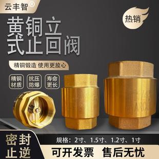 铜止回阀止水阀逆向截止阀全铜立式防止水回流