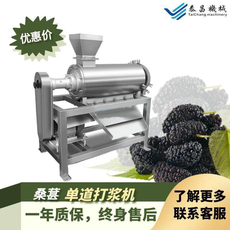 大型桑葚去皮打浆机工业桑葚果浆加工机器草莓酱加工设备果蔬加工,清洗/食品/商业设备,休闲食品加工设备,淘宝优惠券,粉丝福利购,淘宝优惠卷