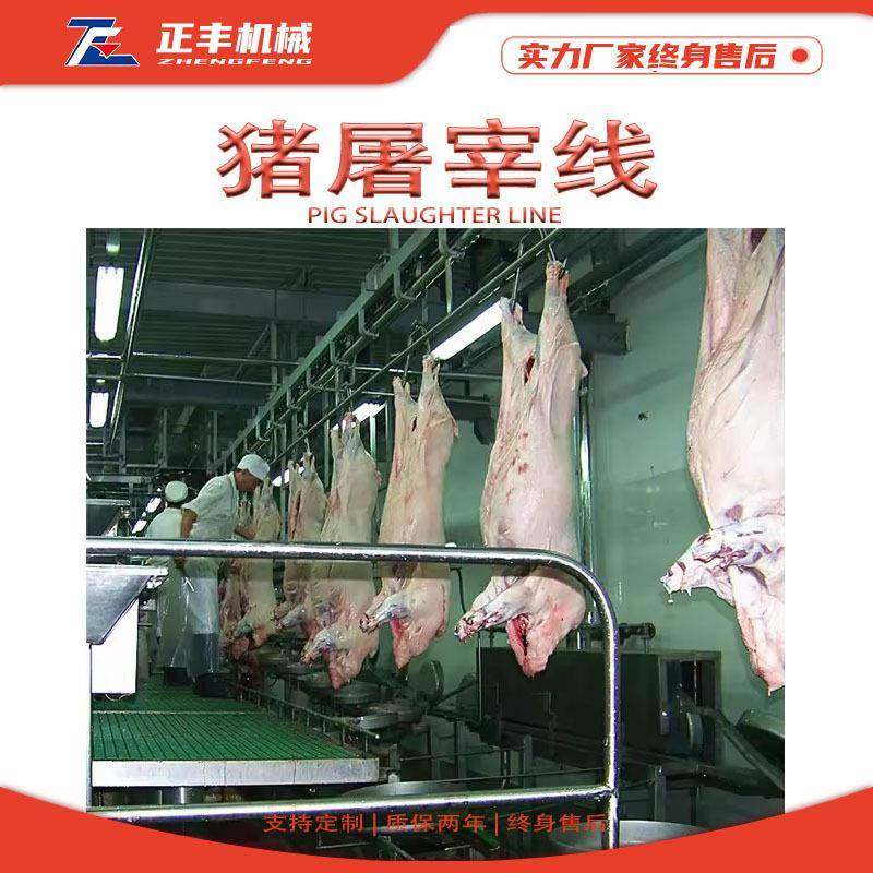 猪的屠宰设备 每天50头猪牛羊屠宰加工流水线 全自动猪屠宰生产线