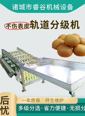 小型滚杠式分选机柠檬猕猴桃分级设备果蔬市场水果分级设备
