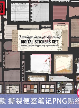 撕裂纸张日记笔记本手帐便签Goodnotes贴纸png免抠可商用美工素材