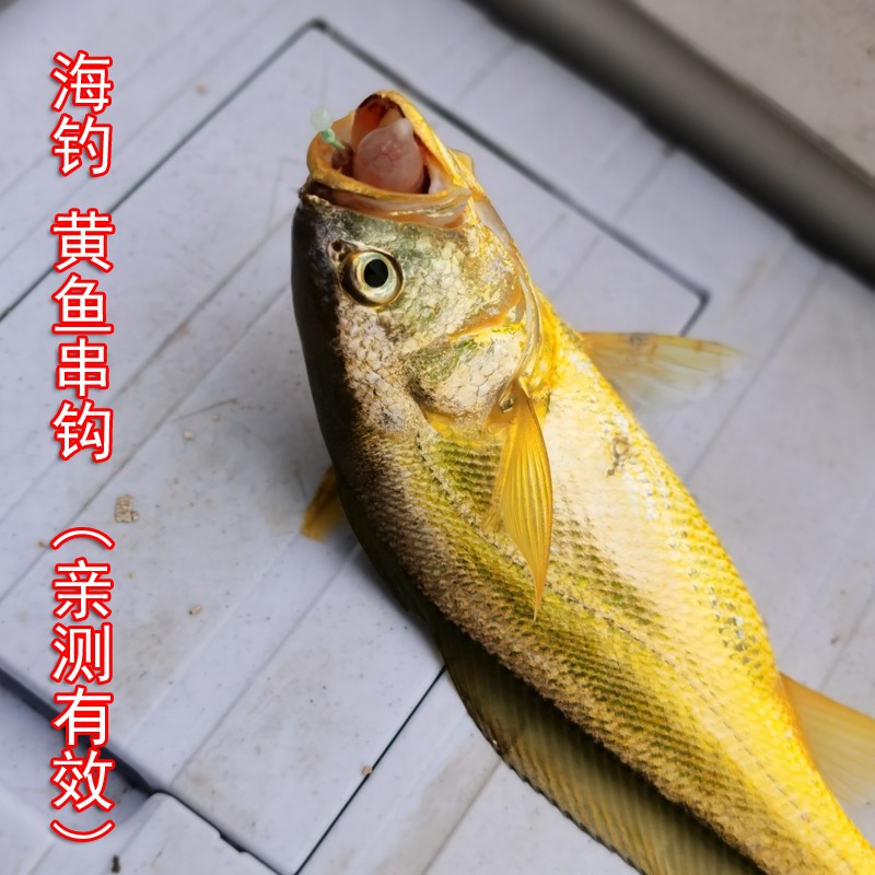 海钓飘钩飘虾黄三黄婆鸡米鱼鮸鱼鲈鱼大黄鱼串钩3钓位钓组线组