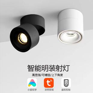 射灯天花灯筒灯单头客厅吸顶北欧商用展厅可调cob轨道灯 折叠明装