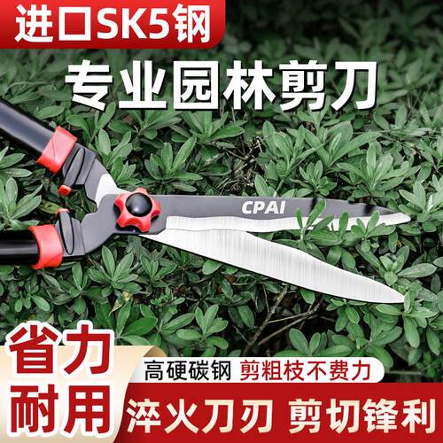 园艺修剪树枝剪刀修枝剪果树专用园林花剪绿化草坪绿篱强力粗枝剪