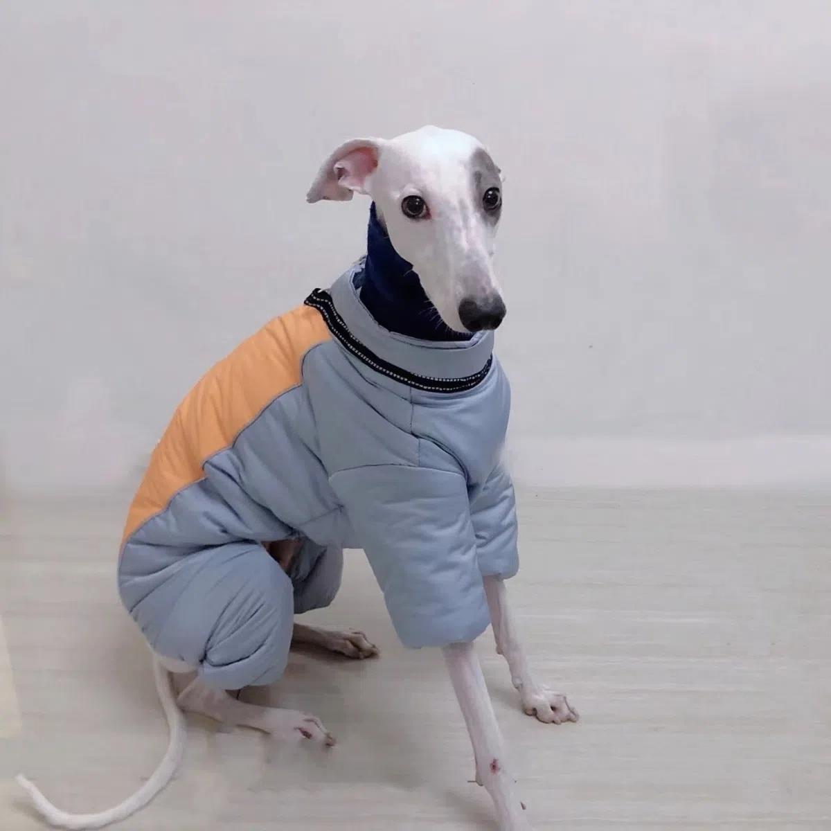 狗狗衣服秋冬款加厚保暖灵缇犬惠比特细犬防风水四脚全包马甲棉衣