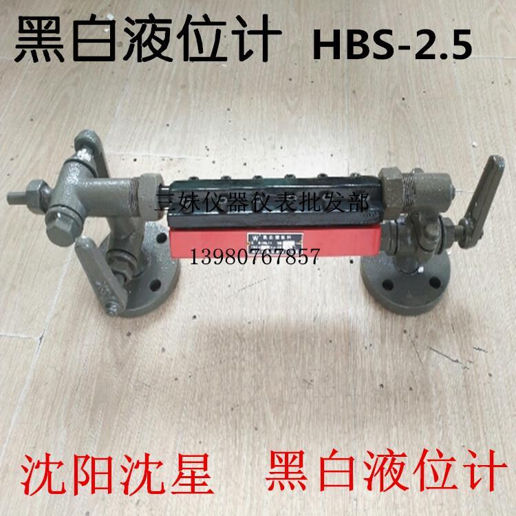 正品辽宁沈星沈阳沈星黑白水位计玻璃板液位计锅炉水位计HBS-2.5