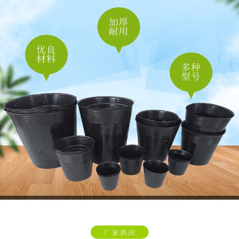 营养钵塑料育苗杯育苗袋不织布大号花盆穴盘育苗盆加厚型营养杯