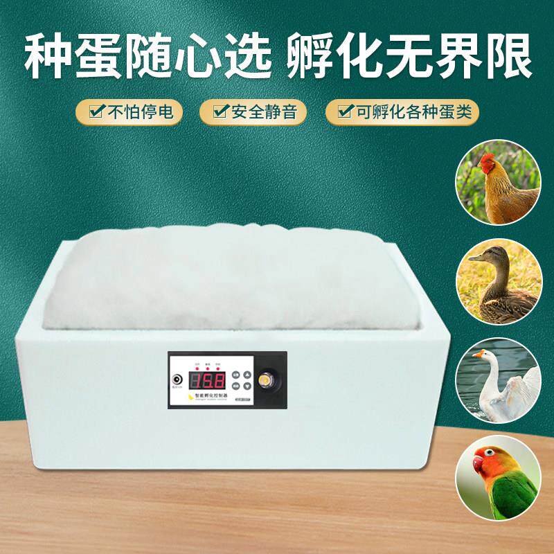孵化器小型家用水床孵化机全自动智能芦丁鸡鸭鹅鹌鹑孵蛋器孵化箱