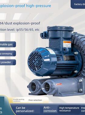 Fb-033沼气输送机防爆高压风机Iibt4Ct4变频防爆高压涡扇