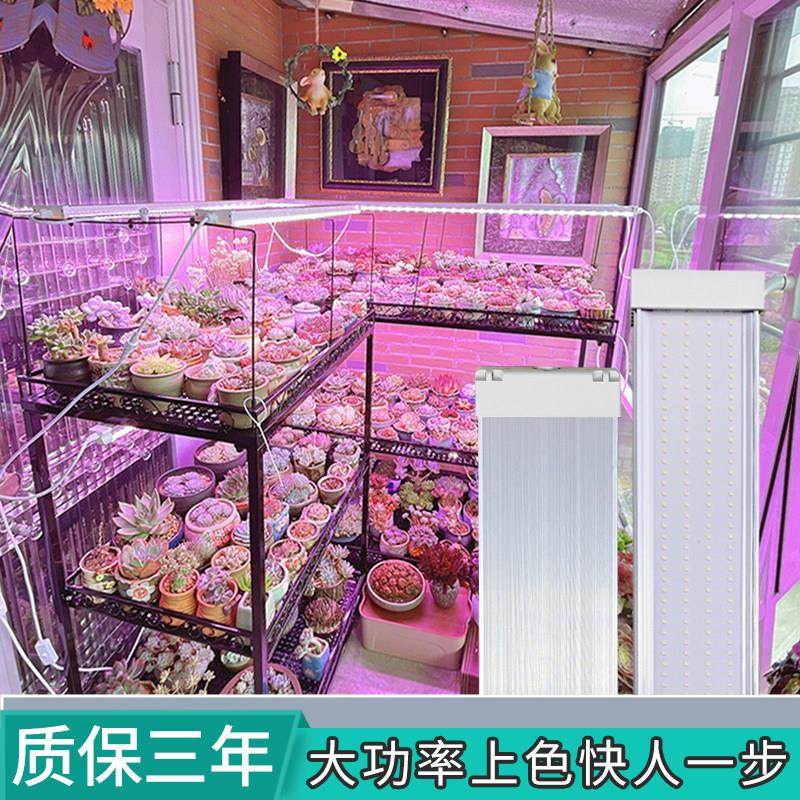 星锐LED多肉补光灯家用上色全光谱灯排植物灯生长灯室内花卉绿植,家装灯饰光源,植物生长灯,淘宝优惠券,粉丝福利购,淘宝优惠卷