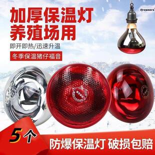 仔猪用保温灯养殖场专用加厚小鸡育雏加热灯兽用取暖养殖保暖厂家