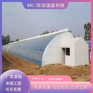 日光温室大棚农业种植大棚养殖大棚冬季种植大棚暖棚草莓大棚