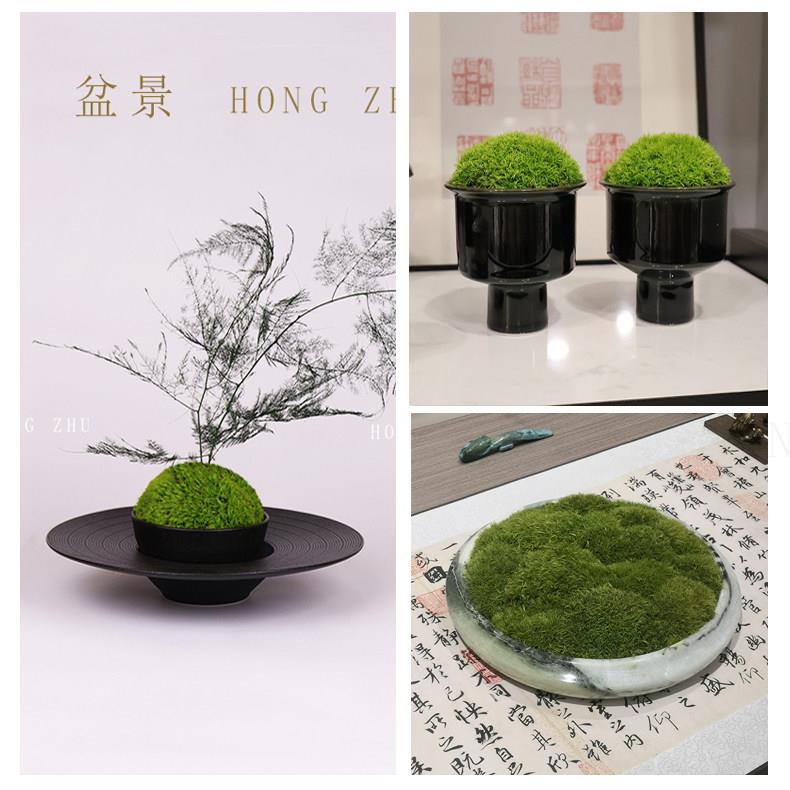 现代中式样板房客厅茶几苔藓盆景文竹花艺摆件书桌茶室售楼处饰品