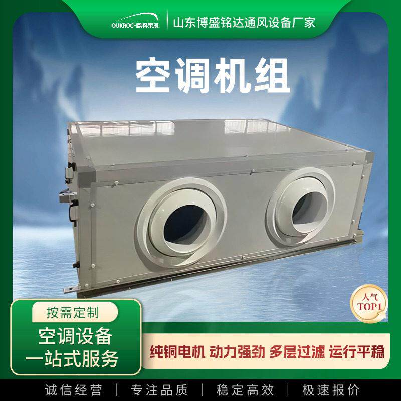 悬吊式天花板式新风机组组合式冷暖新风换气系统中央空调水冷机组
