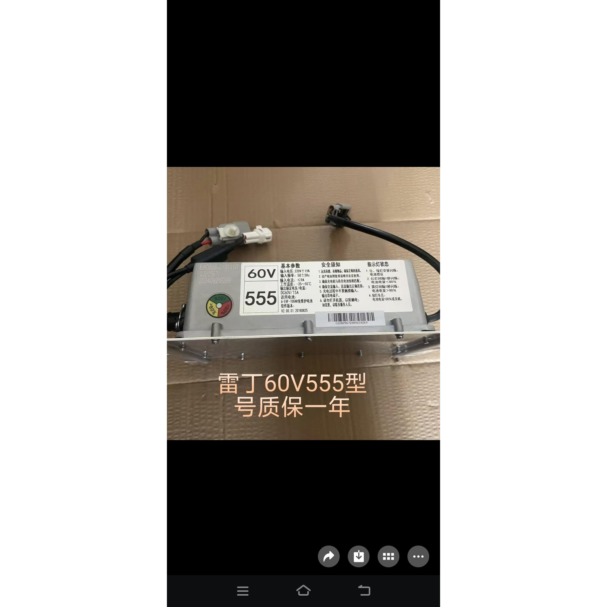 雷丁D50D70D80比德文M6M7比德文V7宝路达电动车车载充电机 充电器