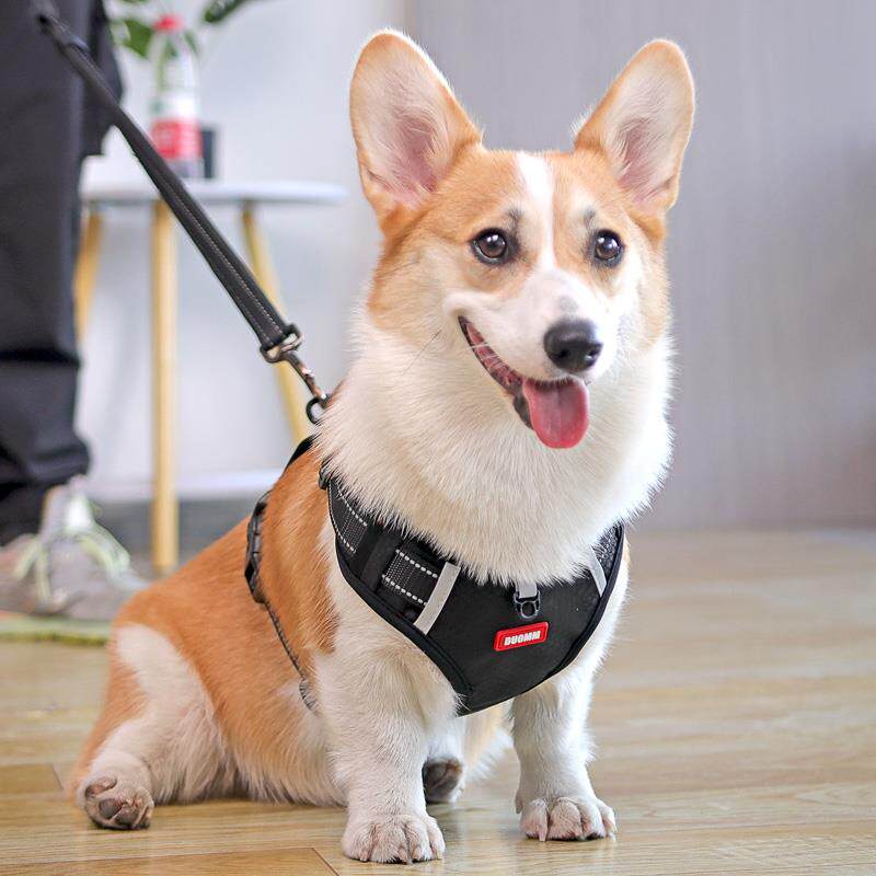 宠物狗狗胸背带背心式牵引绳柯基柴犬边牧中型犬防爆冲遛狗绳项圈