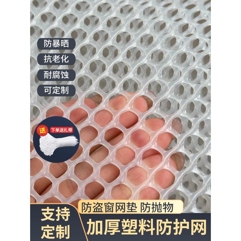 加厚塑料网格养殖围栏养鸡养鸭养蜂养蚕养鱼虾网儿童防护防猫网