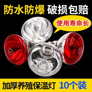 猪用保温灯养殖场专用保暖灯小鸡育雏加热烤灯仔猪舍兽用取暖灯泡