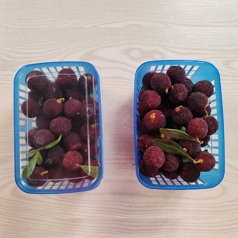 0.5斤-1斤草莓杨梅篮子水果无手提采摘圣女果樱桃桑葚蓝莓蓝包邮