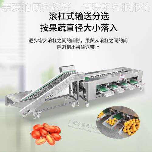 龙杠分ST-LGFX1选机 眼荔枝土豆果蔬滚杠分选机全自动大分小滚机