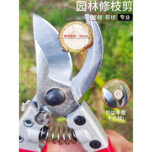 修剪树枝剪园林果园艺剪刀花剪家用剪果树植物盆景修枝修花剪工具
