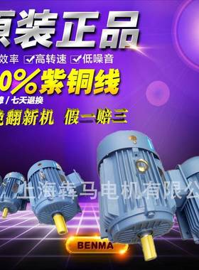 三相异步电动机YE2-280M-290W2P2级电机交流变频Y2Y电机马达