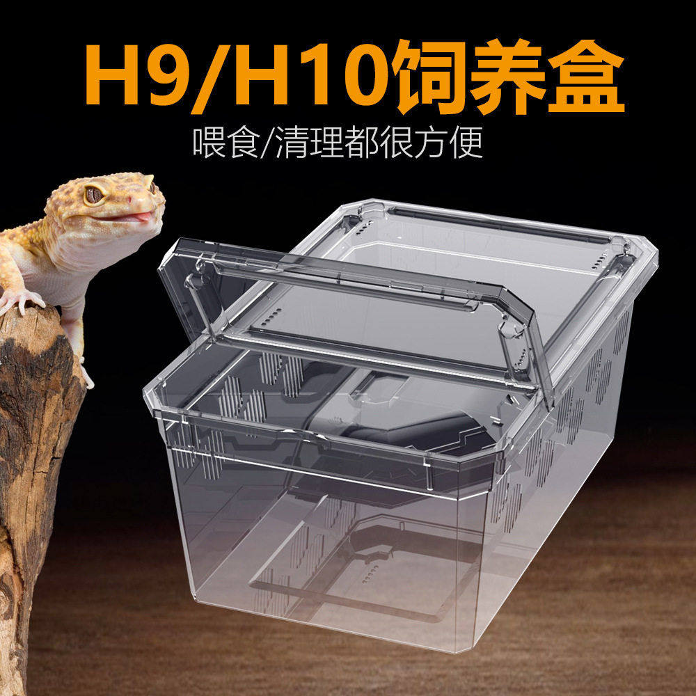 宠物爬虫饲养箱蜘蛛守宫蜥蜴蝎子角蛙蜈蚣塑料乌龟幼体饲养盒