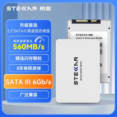 朗盛LS560大容量SATA固态硬盘
