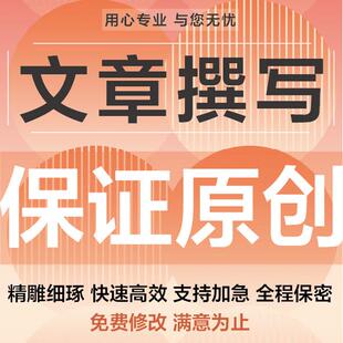 代写文章撰写述职报告工作总结汇报方案剧本文案策划代笔写作服务