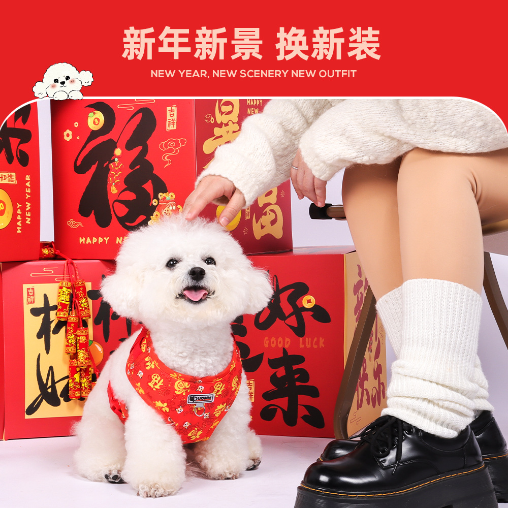 新年宠物胸背小狗春节喜庆暴富狗狗胸背带比熊外出遛狗牵引绳狗绳