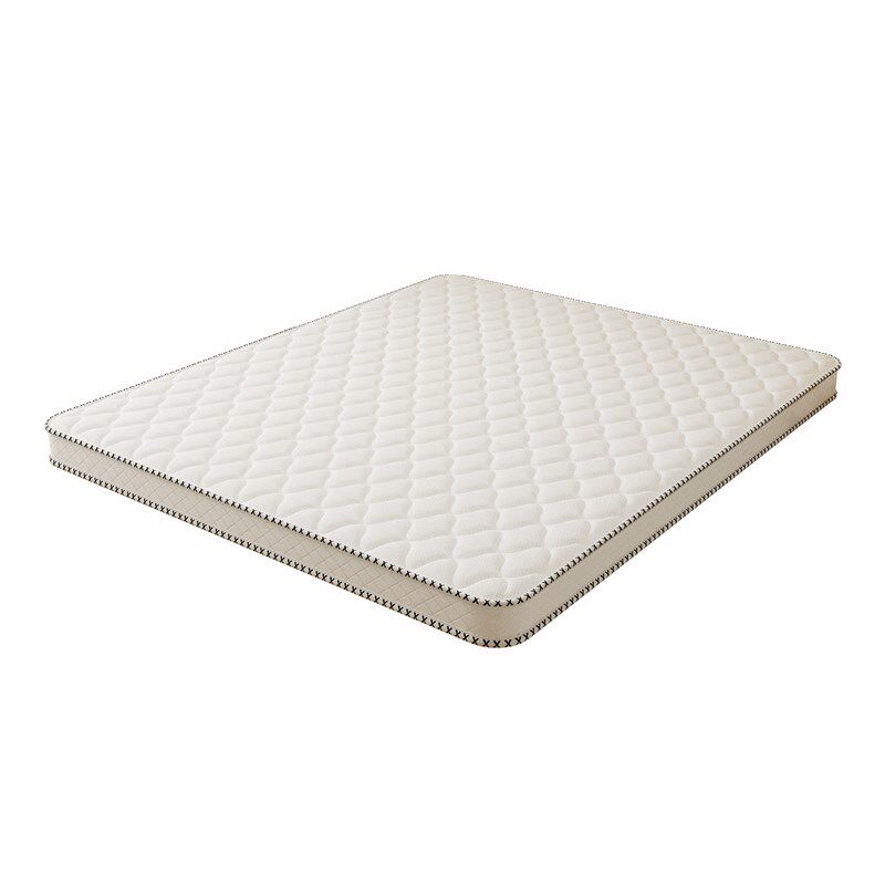 纯椰棕硬垫护脊棕榈牀垫家用卧室专用牀垫180x200偏硬不塌陷薄垫