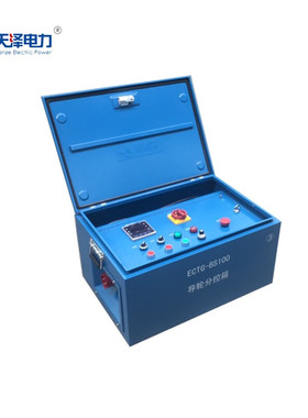 天泽电力导轮分控箱 ECTG-BS100  台