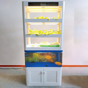 农业家庭养鱼种菜柜鱼缸水培种植柜鱼菜共生蔬菜种植机无土栽培设