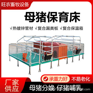 母猪定位栏限位栏猪圈围栏复合漏粪板母猪产床养猪用设备 保育