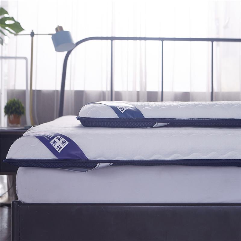 定制学生家用床垫70x170x80x180x85x190x110x130x135x140x160x200