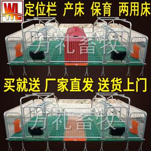 母猪产床产保两用一体床猪用双体产房保育床母猪定位栏欧式限位栏