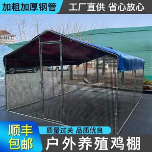 户外鸡棚特大号家禽鸡笼养鸡鸽笼孔雀防雨鸡舍大型搭建养殖棚家用