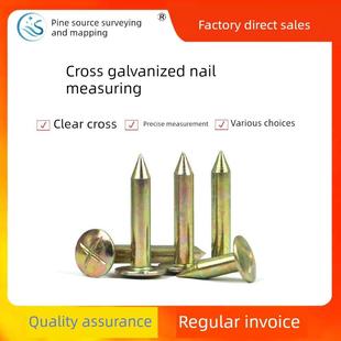 浸没观察钉不锈钢十字钉监测点标志点控制点测量钉测量钉测量钉