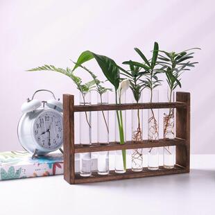 一排试管花瓶木质玻璃插花器水培绿植物容器简约木架摆件装饰花架