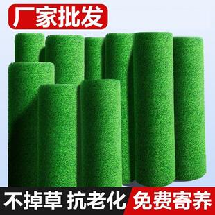 仿真草坪垫子户外装饰塑料绿色假绿植幼儿园地毯人造人工草皮围挡