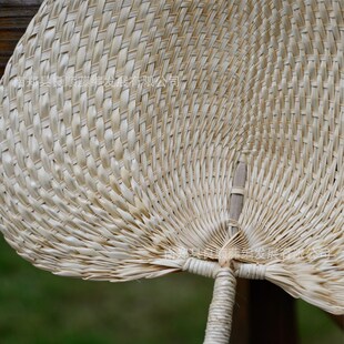 老式 蒲扇 棕扇 古风 手工编织棕榈叶扇子 扇子 棕叶大蒲扇