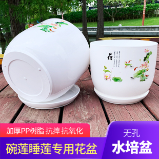 水生植物花盆睡莲碗莲盆水葫芦水芙蓉花盆铜钱草花盆水培大号