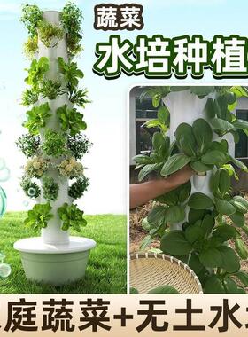 空间树水培塔楼顶蔬菜种植花盆架垂直无土栽培设备阳台种菜专用箱