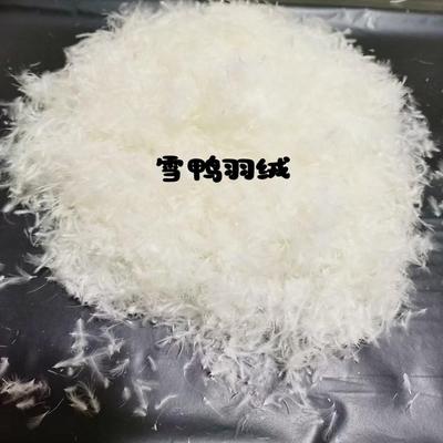 散装羽绒5%低分绒小羽毛绒片枕头靠垫沙发被子填充物原料厂家直销